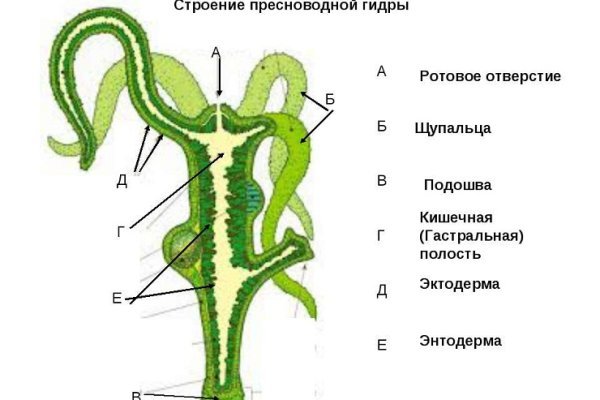 Даркнет официальный сайт на русском